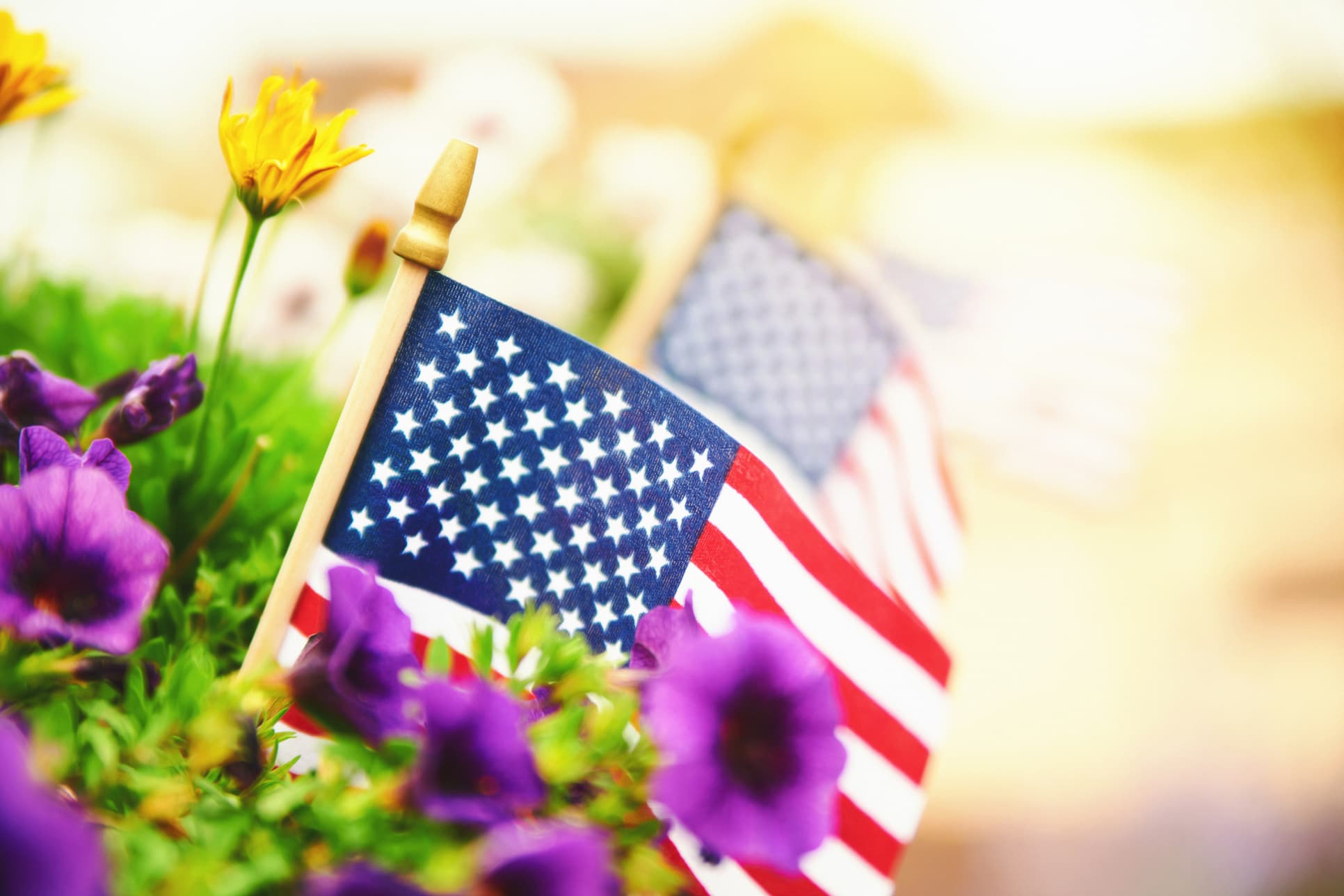 american flag in bed of flowers